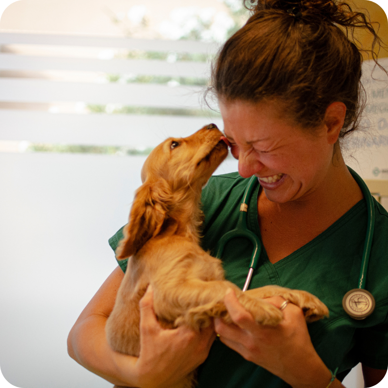 Una veterinaria sorridente in camice verde tiene in braccio un cucciolo giocherellone che le lecca il viso, creando un momento di gioia e affetto.