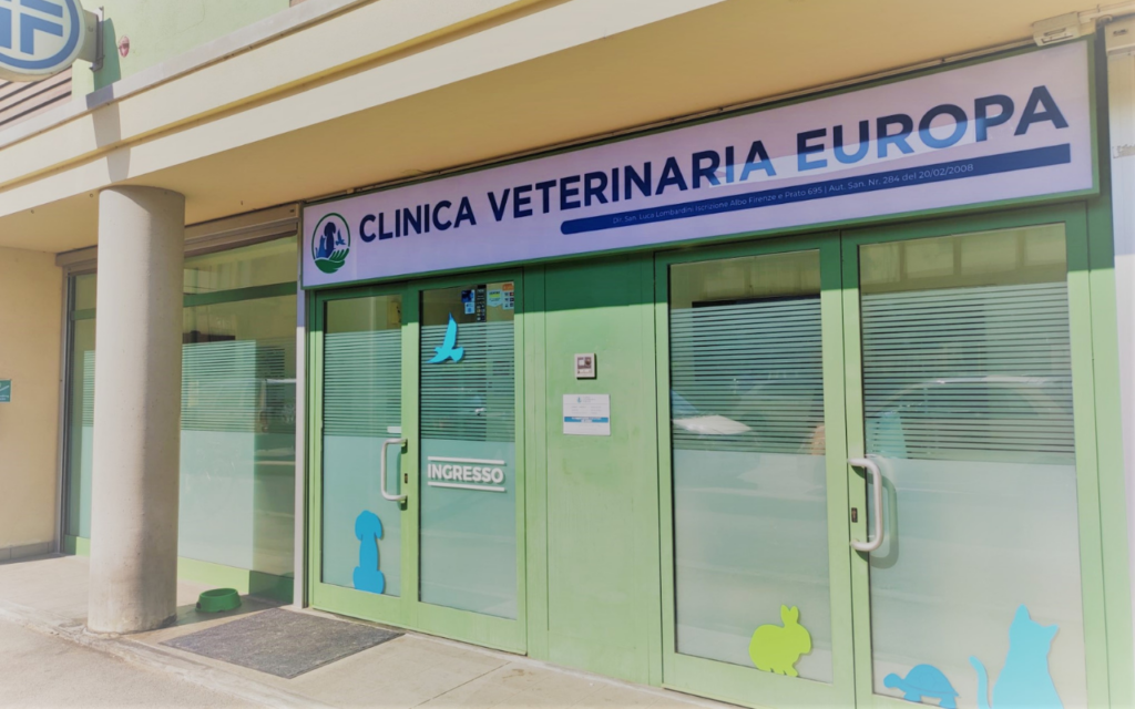 Vetrina verde e vetro della CLINICA VETERINARIA EUROPA con sagome di animali alle finestre e un'insegna sopra l'ingresso. Sulla porta c'è un'insegna INGRESSO che indica l'ingresso.