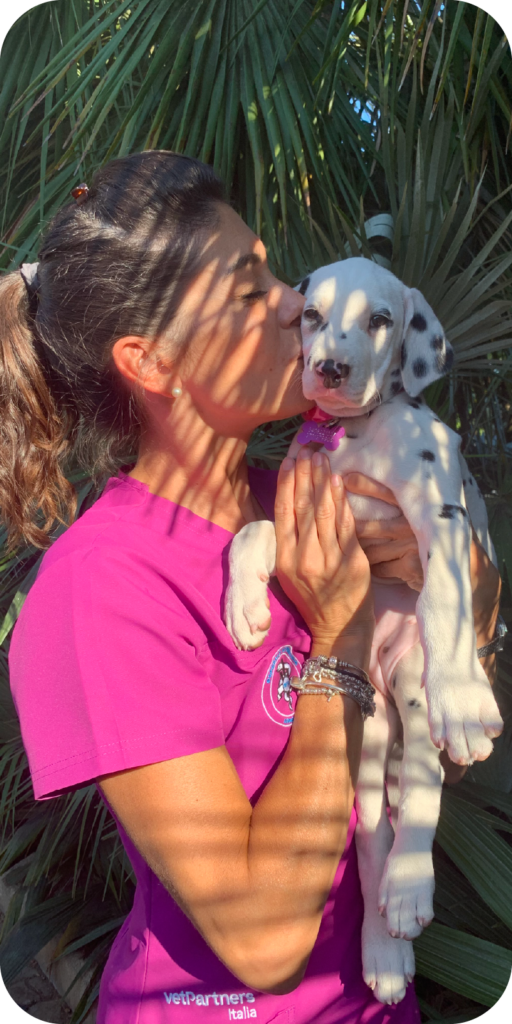 Una donna in camicia rosa bacia un cucciolo di dalmata bianco con macchie nere mentre lo tiene in braccio. La luce del sole e le foglie di palma proiettano su di loro un'ombra a strisce. Per altri momenti come questo, contattaci oggi stesso.