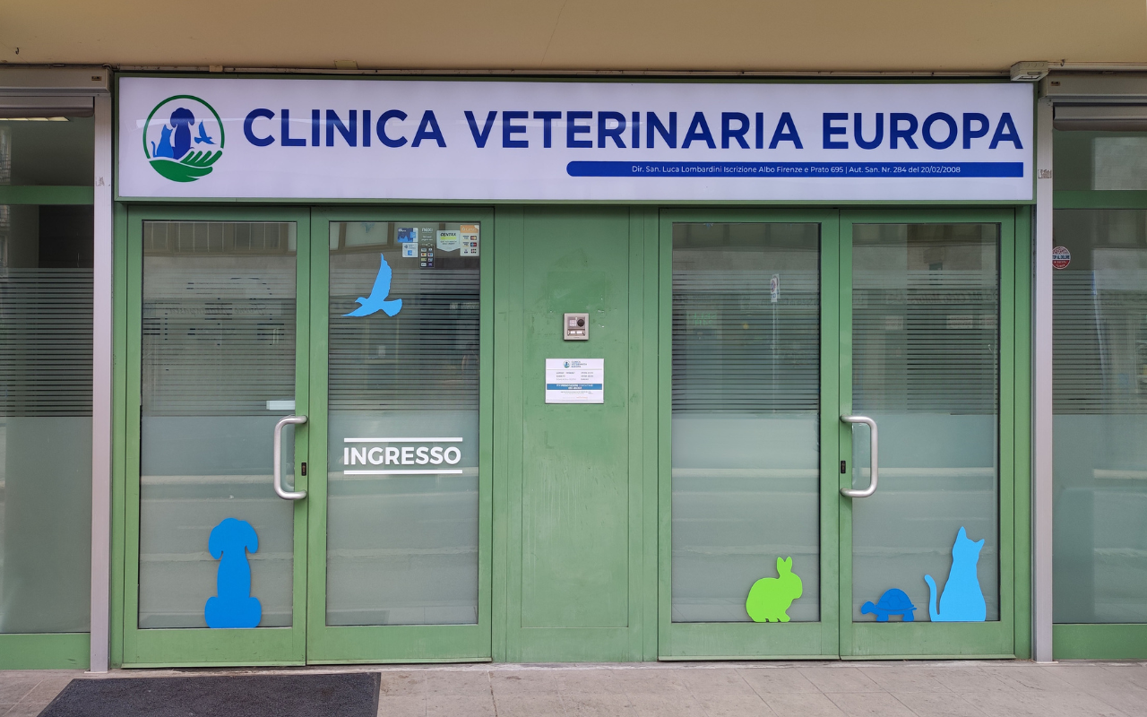 Veterinario Firenze | Clinica Veterinaria Europa Firenze, image size:1280x800