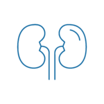 NEFROLOGIA Una semplice illustrazione di contorno blu di due reni umani con ureteri, raffigurati su uno sfondo chiaro.