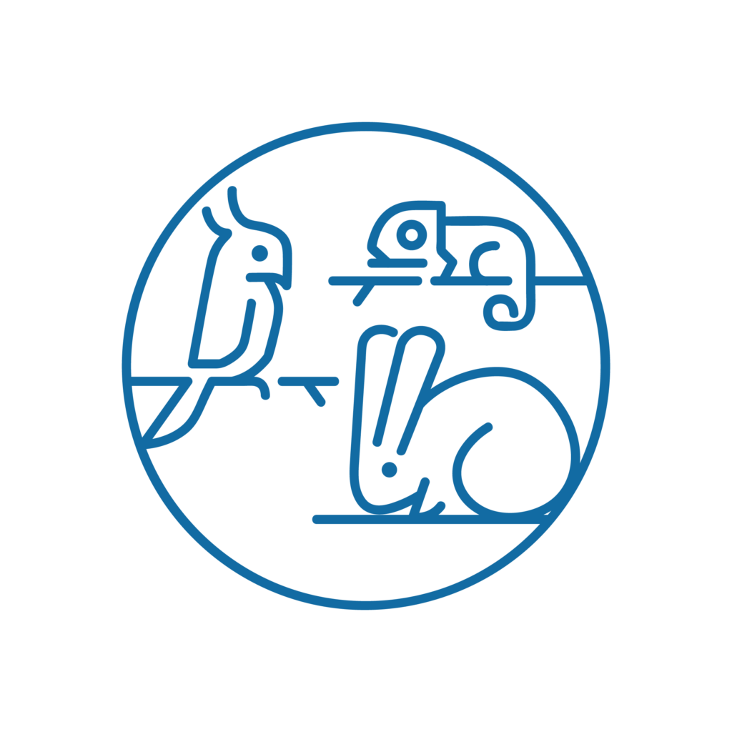 Disegno a linee blu di un pappagallo, un camaleonte e un coniglio all'interno di un cerchio su sfondo chiaro.