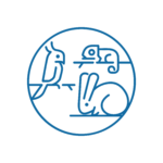 NON CONVENZIONALI Disegno a linee blu di un pappagallo, un camaleonte e un coniglio all'interno di un cerchio su sfondo chiaro.