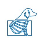RADIOLOGIA Disegno a linee blu di un cane di profilo, che mostra la cassa toracica e le ossa delle zampe come in una radiografia, con una cornice rettangolare che evidenzia la struttura scheletrica.