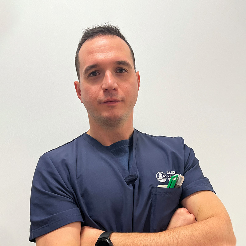 Il Dottor Andrea Carraro medico veterinario della Clinica Veterinaria Europa