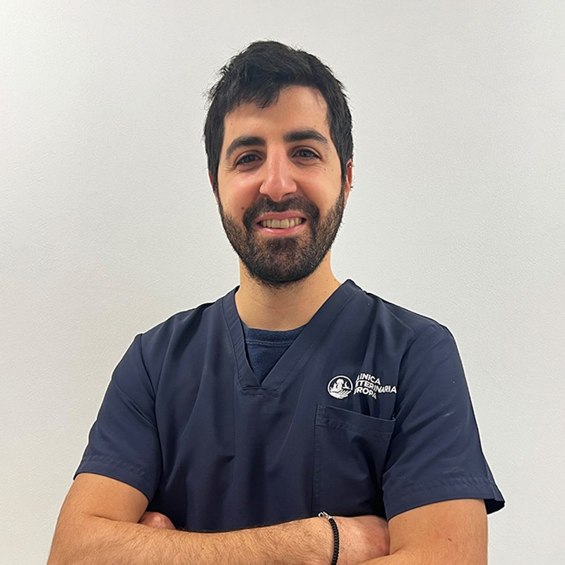 Il Dottor Daniele Lasagni medico veterinario della Clinica Veterinaria Europa