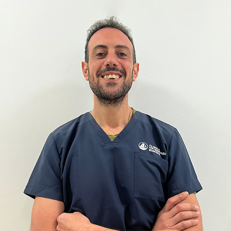 Il Dottor Giuseppe Bartoletta medico veterinario della Clinica Veterinaria Europa