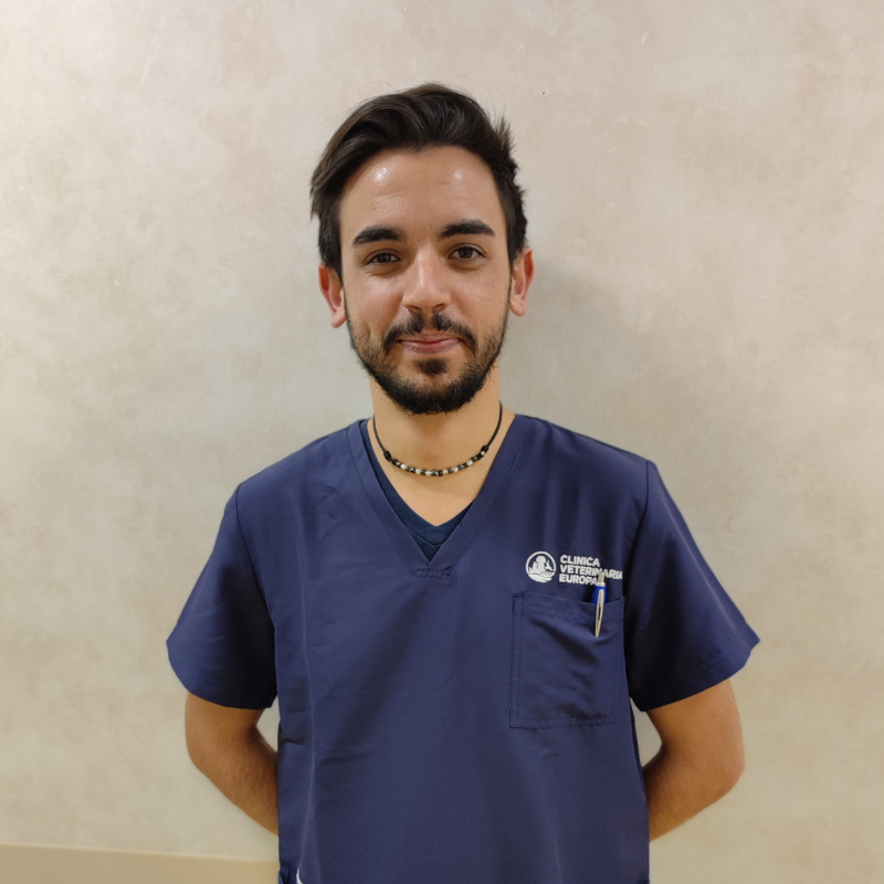 Dr. Alessandro Marigliano_1 Il Dottor Alessandro Marigliano medico veterinario della Clinica Veterinaria Europa